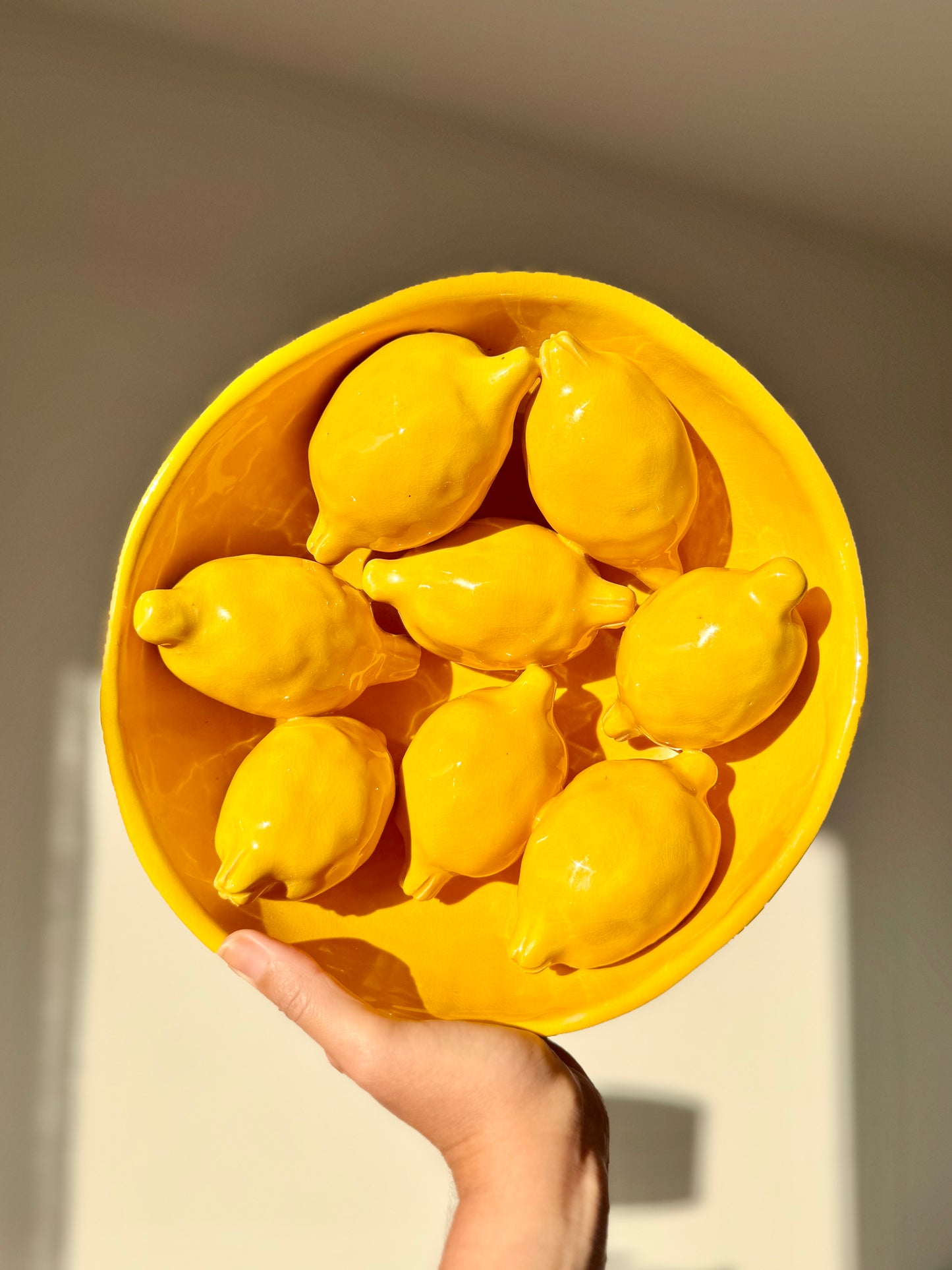 Citroen Schaal JUICY