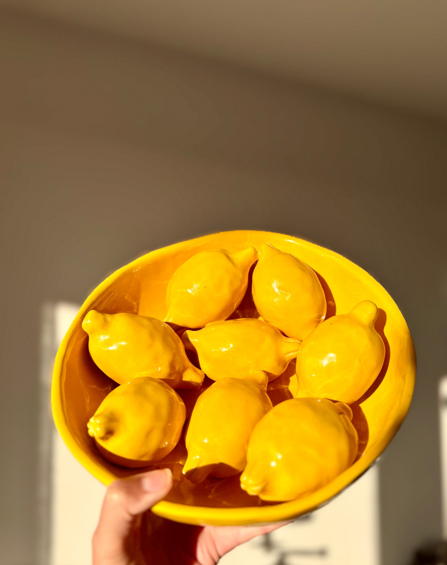 Citroen Schaal JUICY