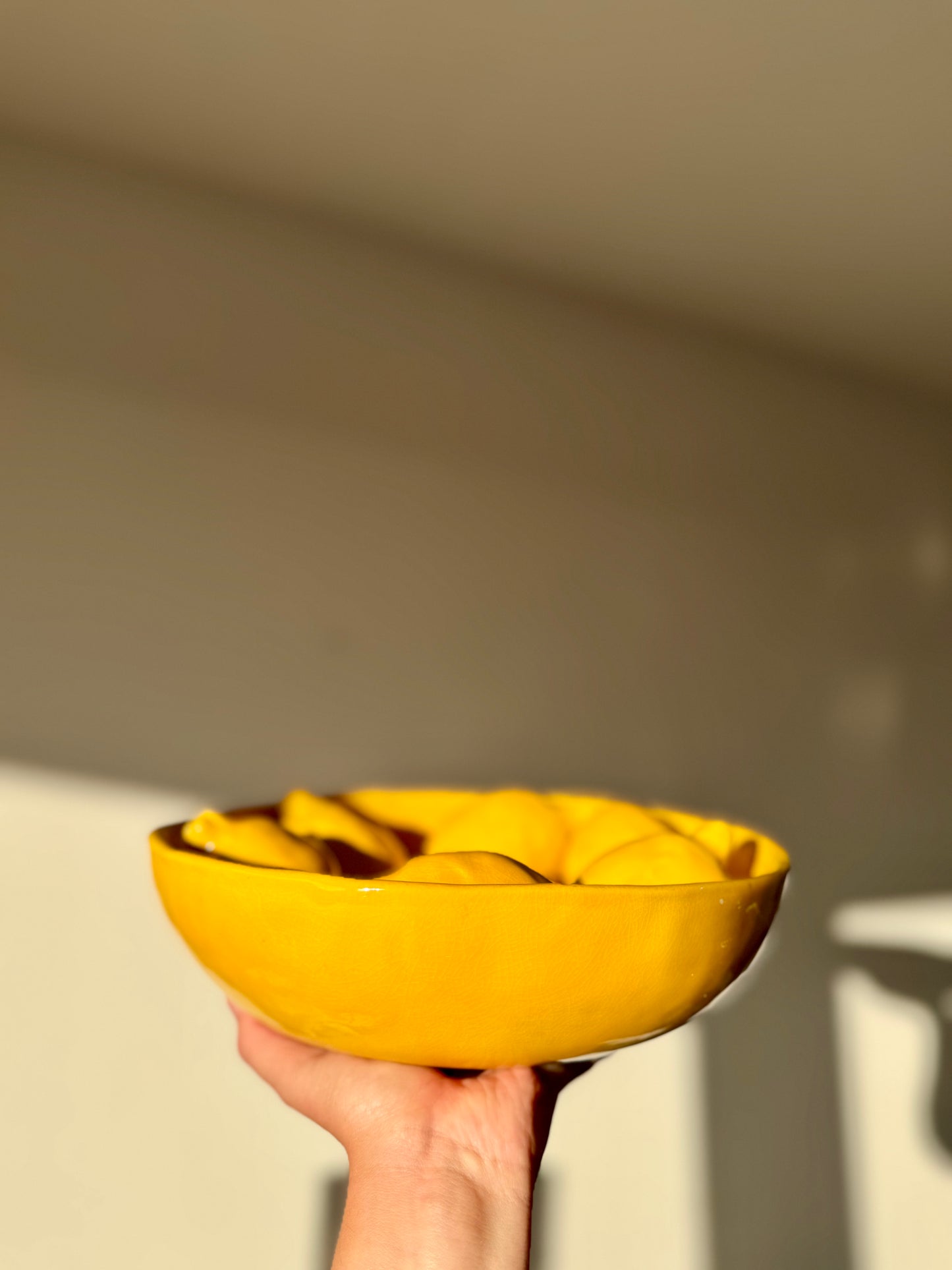 Citroen Schaal JUICY