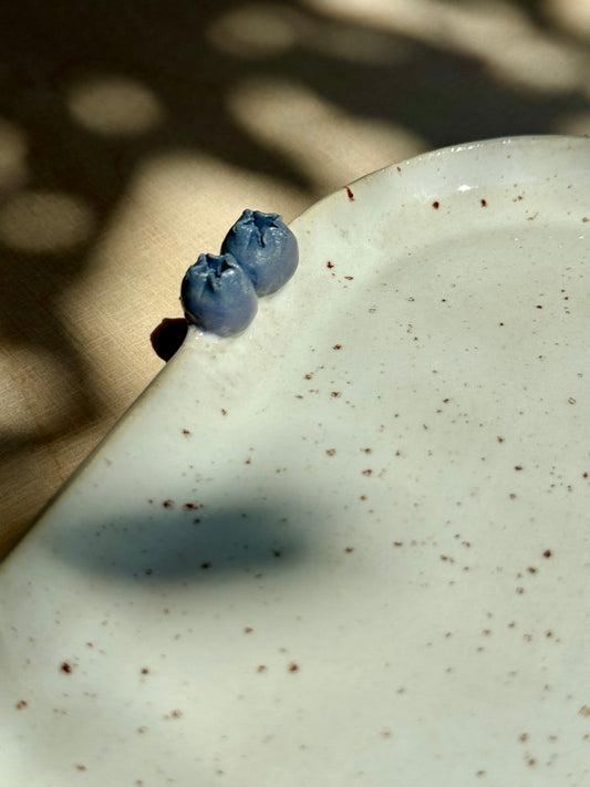 Speckled ontbijtbord met blueberries